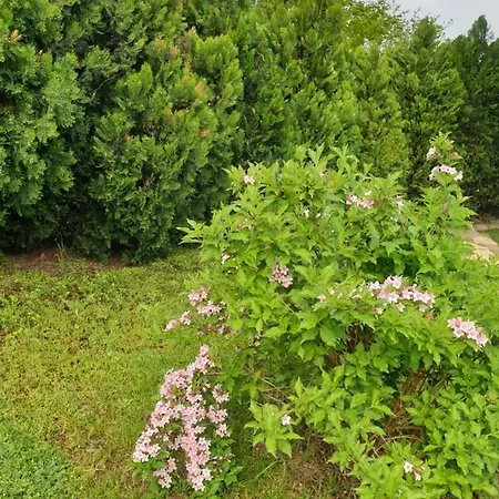 Prenociste Panorama سوبوتيتْسا