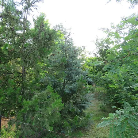 شقة Prenociste Panorama سوبوتيتْسا