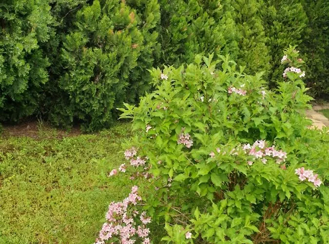 Prenociste Panorama Суботица