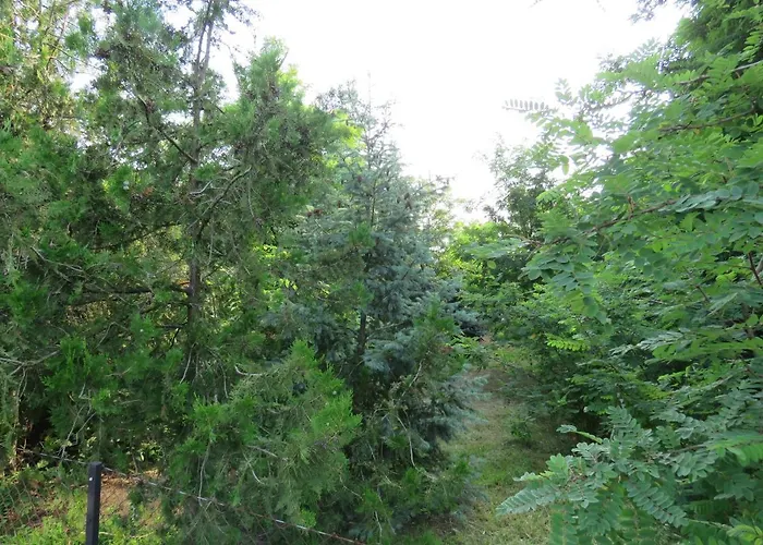 Апартаменты Prenociste Panorama Суботица